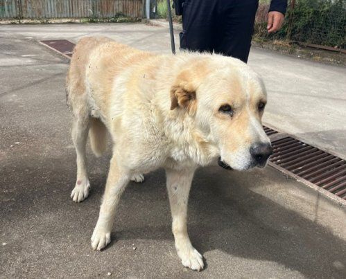 PHOTO 2024 06 10 15 32 10