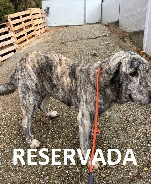 4d3cd0f909ef6d82580f19becd8dc14db33dd1b1