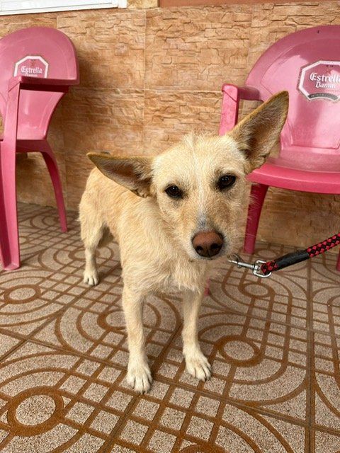 PHOTO 2022 10 25 11 37 06