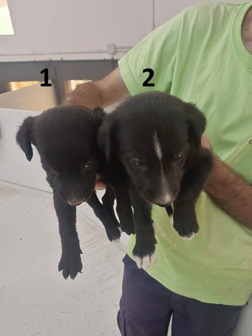 PHOTO 2025 08 18 13 43 55