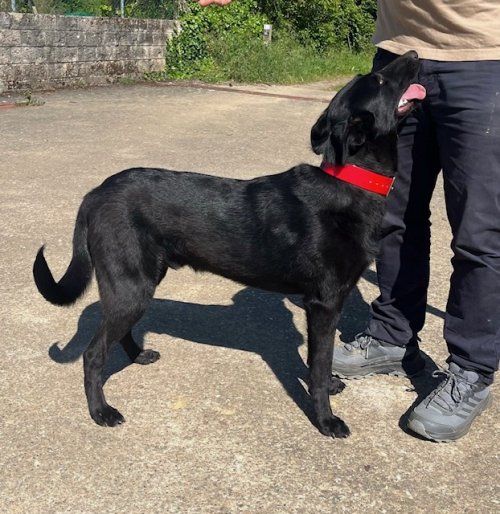 3a8bbc44 4b2d 425d 983d 98b0e3d5a884