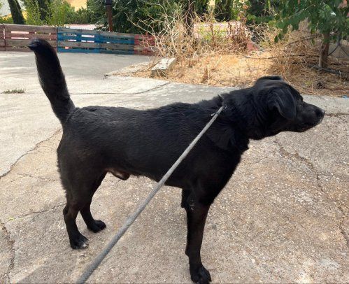 PHOTO 2022 09 13 19 02 10