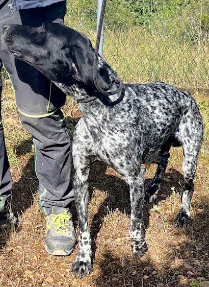 cdfcd0d8 6414 498e b4c6 afe2f7454964