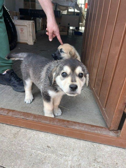 35eeb606 4df2 4496 8432 da2ff7a38e8b