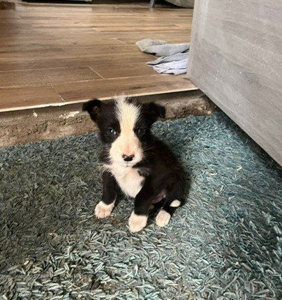 PHOTO 2024 11 26 10 50 09