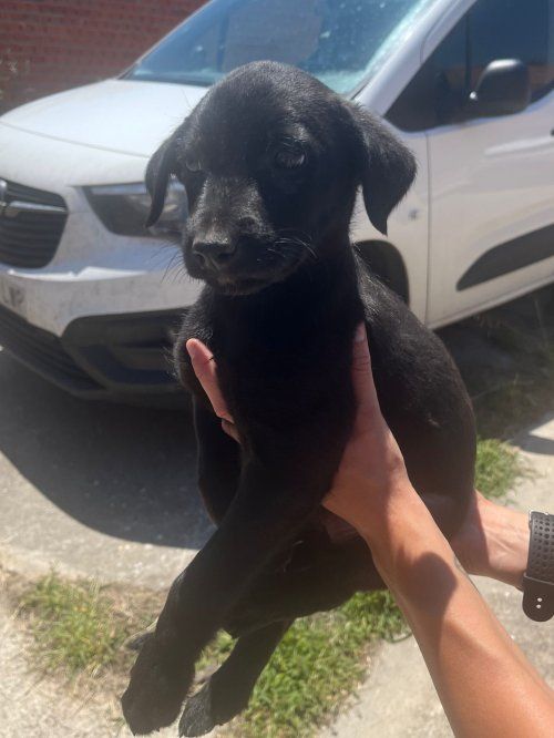 PHOTO 2024 07 16 14 51 32