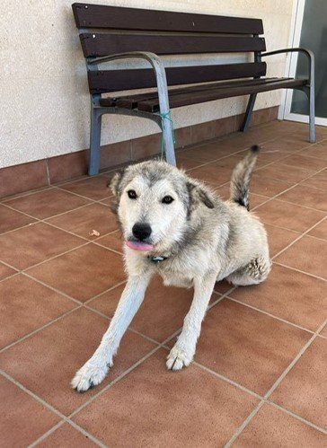 PHOTO 2024 05 29 13 35 22