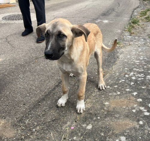 PHOTO 2025 06 03 11 03 02