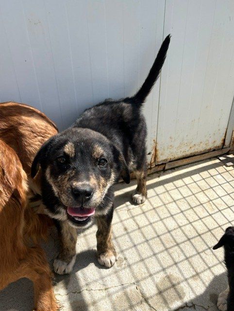 PHOTO 2023 03 22 13 28 16