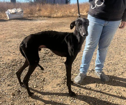 PHOTO 2025 10 02 11 00 06