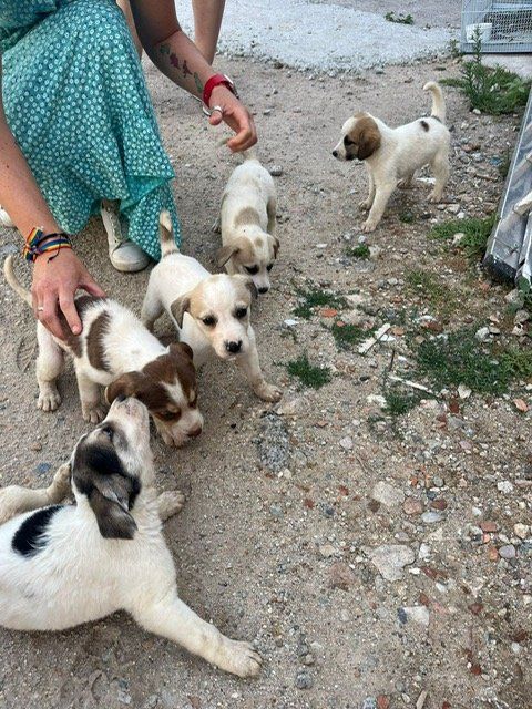 PHOTO 2024 07 30 11 27 53