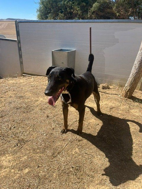 PHOTO 2024 09 30 19 20 42