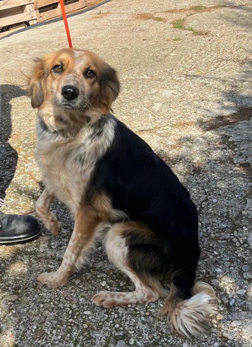 PHOTO 2024 11 29 13 13 03