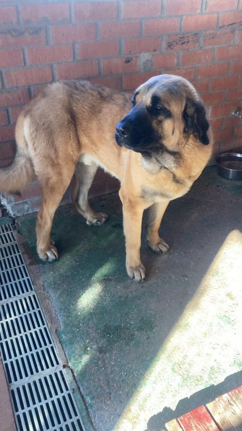 033a28b6 7b12 471e b4dd b09fe5e3d26e