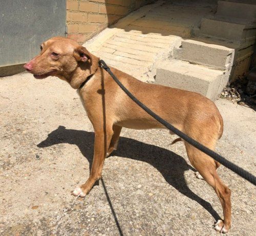 PHOTO 2022 05 19 13 21 44