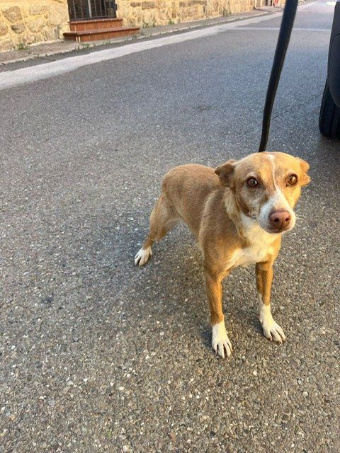 PHOTO 2024 06 04 10 13 17