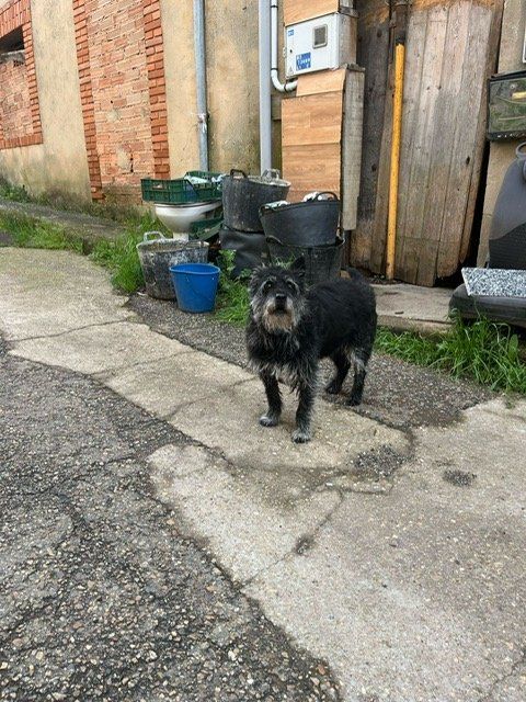 b5d7ec44 26ad 4c10 b6fc 4923cf792eff