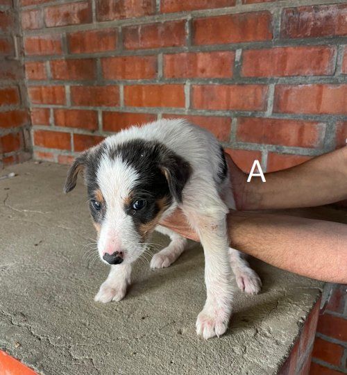 PHOTO 2024 04 30 14 29 50