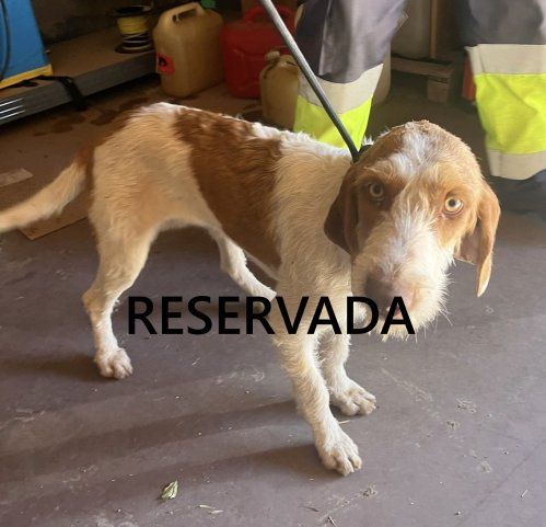 a2b3b63e 2bc6 438e 8eb3 d097feeb78b8