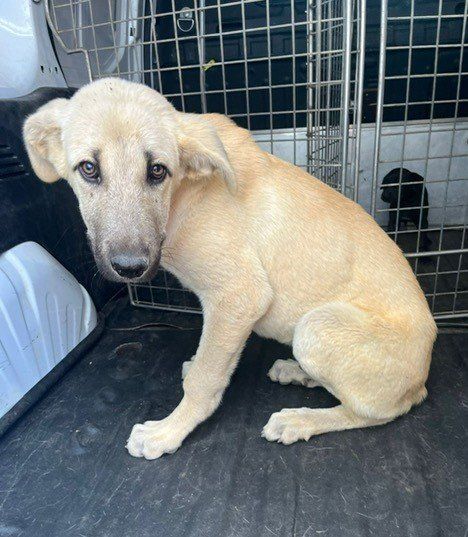 PHOTO 2024 07 11 11 48 26