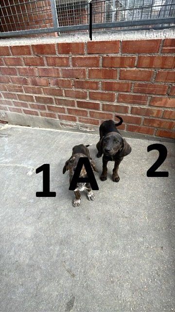 f9aa1c34 a496 4575 aa32 9a0c1aa44312