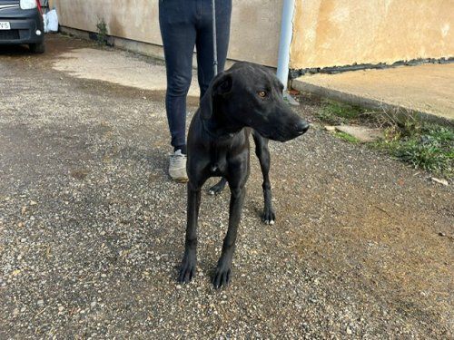 PHOTO 2022 10 26 11 27 10